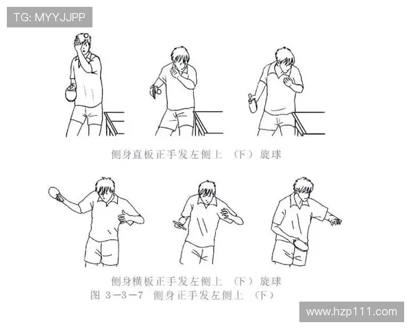 乒乓球新手必看团队协作技巧与入门指南助你快速提升球技