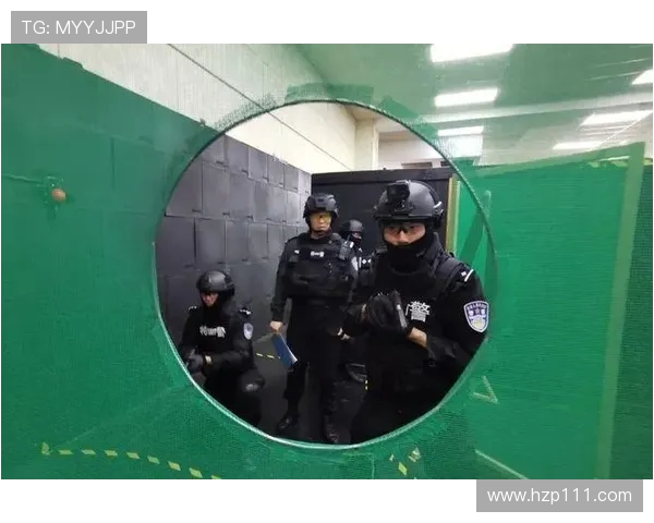 深入分析上海飞盘队边路渗透战术的独特魅力与实战应用