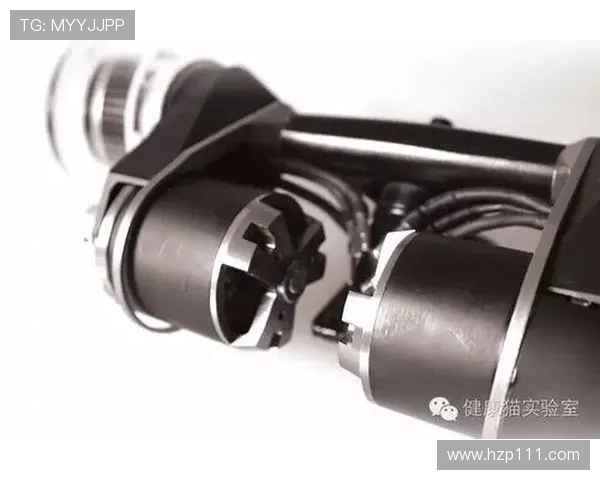 滑板新手必看:从零基础到节奏掌控的全方位指南 滑板新手必看:从零基础到节奏掌控的全方位指南