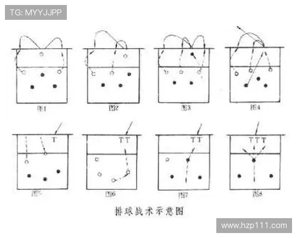 北京排球队反击战术深度解析与训练策略探讨