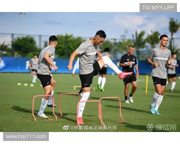 成都排球队比赛经验分析与数据解读助力球队提升竞技水平